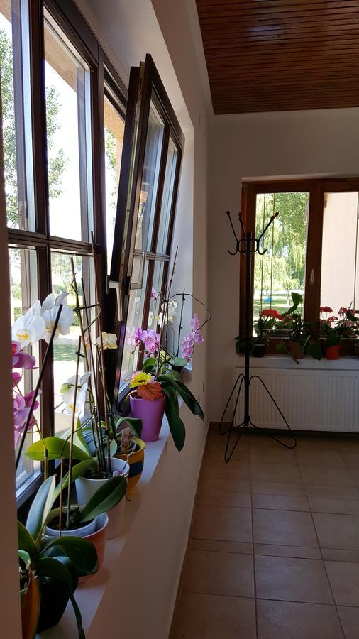 Balaton Panzio Bed & Breakfast Balatonbereny Exterior photo